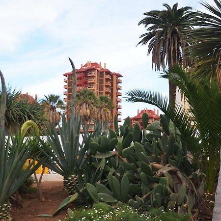 Sunshine Studio Puerto de la Cruz  Eksteriør billede