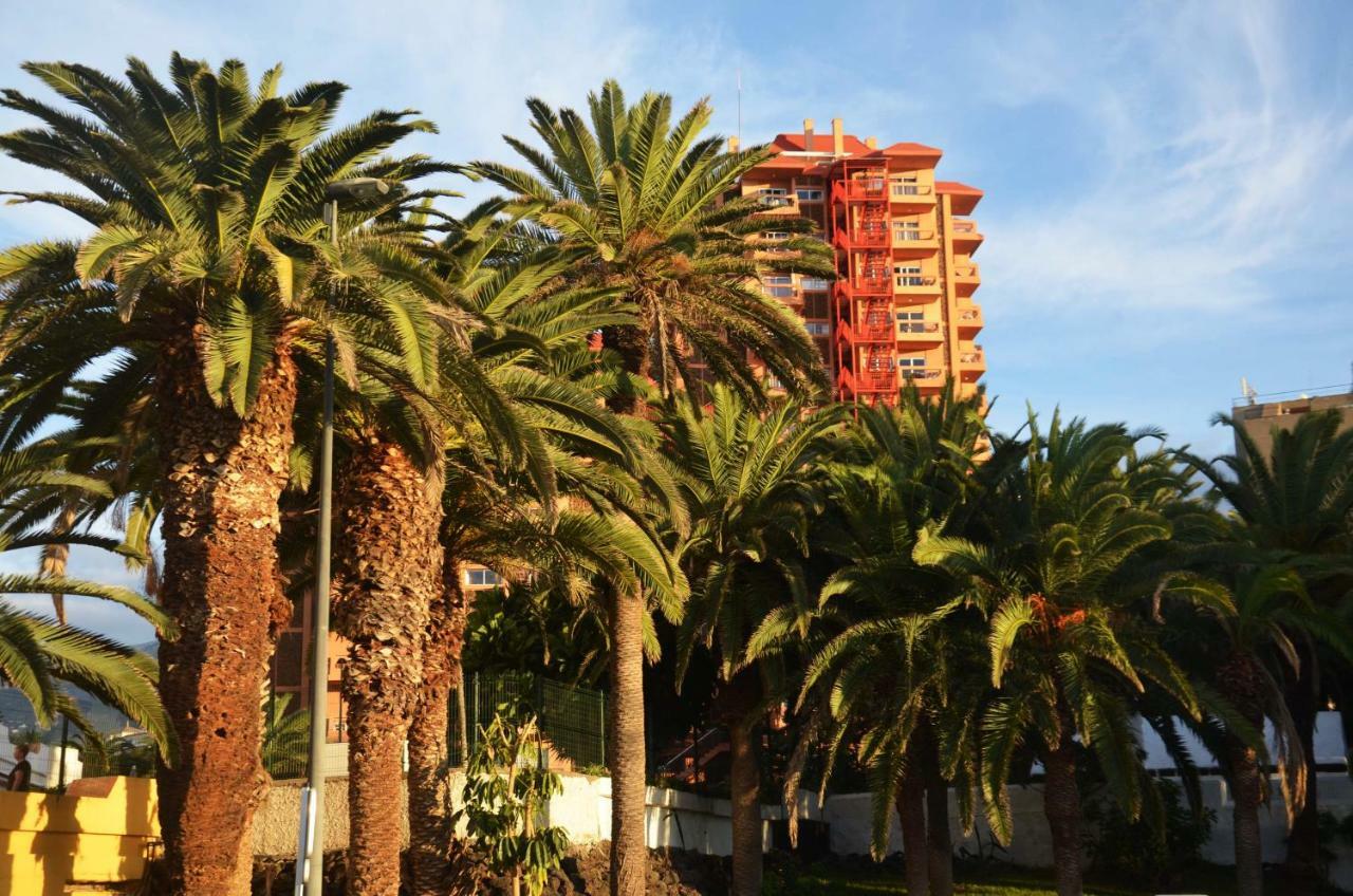 Sunshine Studio Puerto de la Cruz  Eksteriør billede